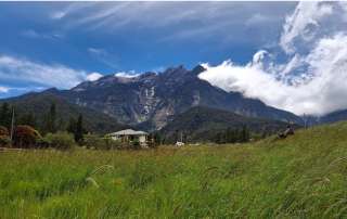 Dramatic close-up view of Mount Kinabalu granite peaks rising above a green grassy field in Kundasang, Sabah