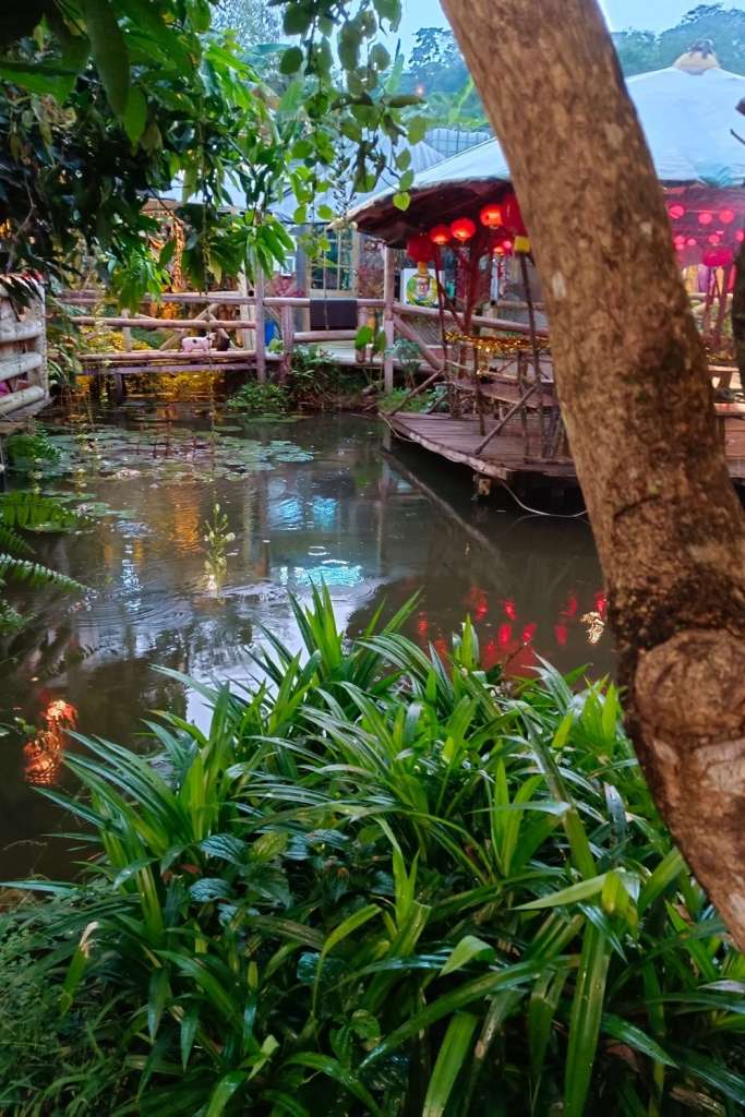 A tranquil evening scene at Signal Hill Eco Farm, a hidden "farm-to-table" gem in the heart of the city. The image highlights the rustic charm of the restaurant with its wooden decks over a calm pond, decorated with glowing red Chinese lanterns. Vibrant green pandan leaves and tropical foliage frame the foreground, perfectly capturing the eco-friendly and peaceful spirit of this Jesselton sanctuary.