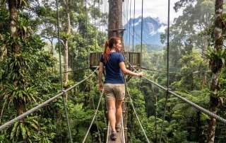 A woman walking across a suspended rope canopy bridge high in the rainforest canopy with Mount Kinabalu in the background.