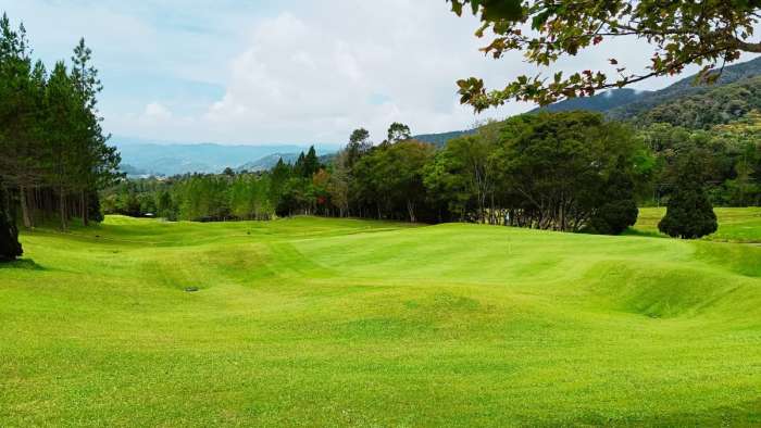 A lush, undulating green golf fairway lined with pine trees against highland hills in Kundasang, Sabah.